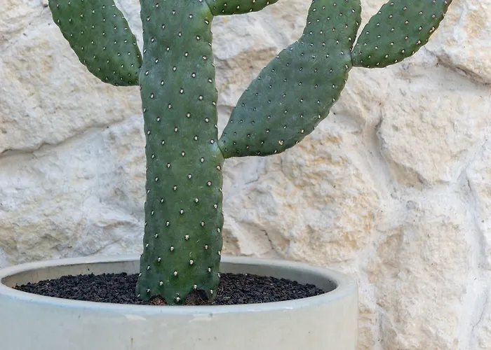 Tensuites - Adults Only